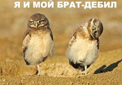 Я и мой брат дибил.jpg
