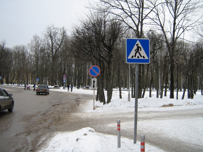IMG_1998333.jpg