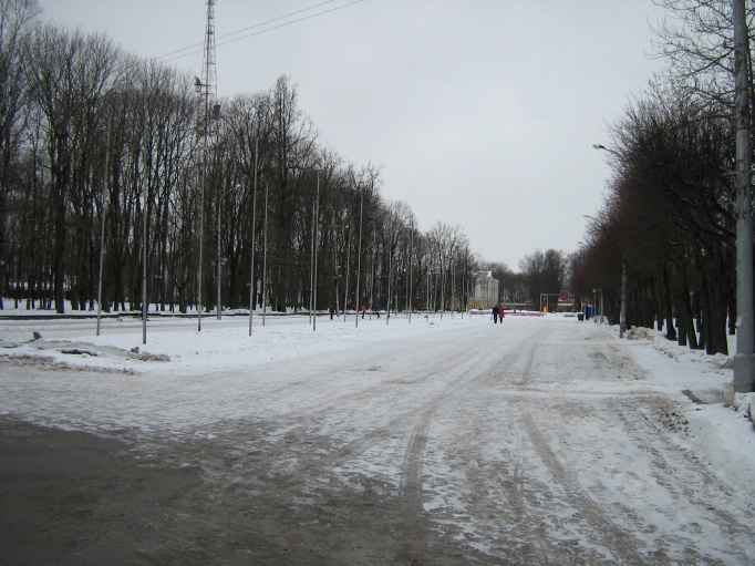 IMG_1994333.jpg